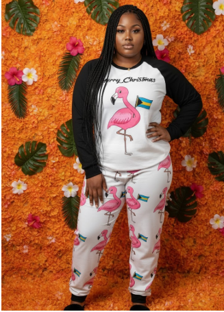 TropiKulture Flamingo Print 2 Piece Long Sleeve Set.