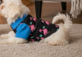 TropiKulture Pet Shirt(Blue)